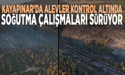 Kayapınar’da alevler kontrol altında, soğutma çalışmaları sürüyor