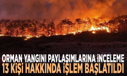 Orman yangını paylaşımlarına inceleme: 13 kişi hakkında işlem başlatıldı