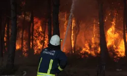 Antalya’da 4 farklı noktada orman yangını çıktı