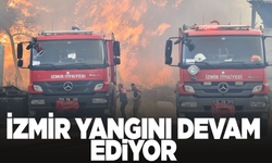 Orman Genel Müdürlüğü'nden İzmir'le ilgili açıklama