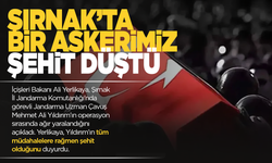 Ali Yerlikaya duyurdu! Bir asker şehit düştü