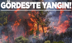 Gördes'te yangın
