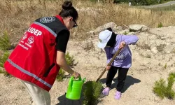 Bursa Gemlik'te aileler ve çocuklar orman ve doğa aşısı