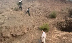 Bursa'daki yangına karşı Gemlik’te teyakkuz