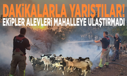 Dakikalarla yarıştılar! Ekipler alevleri mahalleye ulaştırmadı