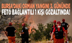 Bursa’daki orman yangını 3. gününde: FETÖ bağlantılı 1 kişi gözaltında
