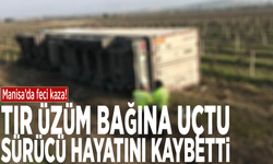 Manisa'da feci kaza! Tır üzüm bağına uçtu, sürücü hayatını kaybetti