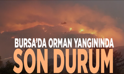 Bursa’da orman yangınında son durum