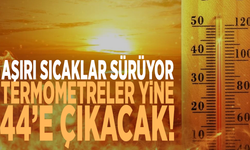 Aşırı sıcaklar sürüyor: Termometreler yine 44’e çıkacak
