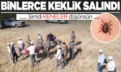 Manisa’da Doğaya 1800 Keklik Salındı