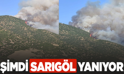 Sarıgöl'de orman yangını başladı
