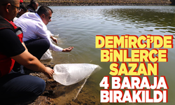 Demirci'de 4 Baraja 314 Bin Yavru Sazan Bırakıldı
