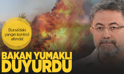 Bursa Harmancık-Orhaneli yangını kontrol altına alındı