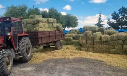 Kayseri Talas'tan üreticiye yem desteği