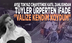 Ayşe Tokyaz cinayetinde katil zanlısından tüyler ürperten ifade: "Valize kendim koydum"