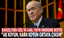 Bahçeli'den Özel'in canlı yayın önerisine destek: "Ak koyun, kara koyun ortaya çıksın"