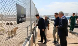 Konya Karatay'dan örnek tesis