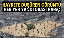 Görenler hayrete düştü! Her yer yandı, orası hariç