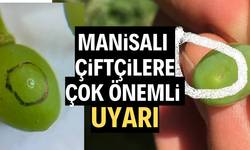 Manisalı çiftçilere çok önemli uyarı