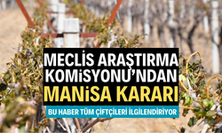 MECLİS ARAŞTIRMA KOMİSYONU’NDAN MANİSA KARARI