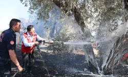 Muğla itfaiyesinden artan sıcaklar sonrası yangın uyarısı