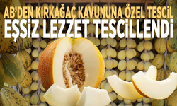 AB’den Kırkağaç kavununa özel tescil: Eşsiz lezzet tescillendi