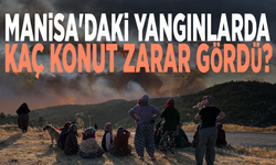 Manisa'daki yangınlarda kaç konut zarar gördü?
