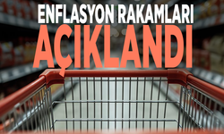 Enflasyon oranı açıklandı