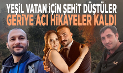 Yeşil vatan için şehit düştüler: Geriye acı hikayeler kaldı