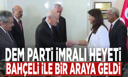 DEM Parti İmralı Heyeti, Bahçeli ile bir araya geldi