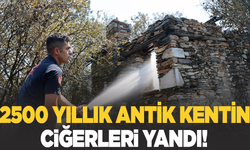 2 bin 500 yıllık antik kentin ciğerleri yandı