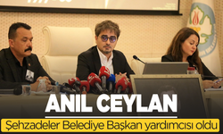 Anıl Ceylan başkan yardımcılığına getirildi