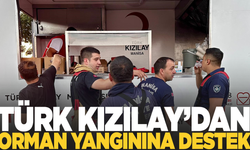 Manisa Türk Kızılay'dan orman yangınına destek