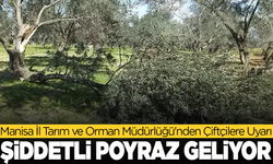 Manisa İl Tarım ve Orman Müdürlüğü'nden Çiftçilere Uyarı: Şiddetli Poyraz Bekleniyor