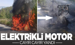 Manisa’da elektrikli motor alevlere teslim oldu