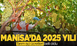 Manisa'da  2025 Yılı Tarım İşçisi Ücretleri Belirlendi