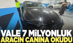 Vale 7 milyonluk aracın canına okudu