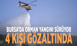 Bursa’da orman yangını sürüyor: 4 kişi gözaltında
