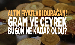 Altın fiyatları durağan: Gram ve çeyrek bugün ne kadar oldu?