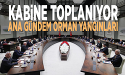 Kabine toplanıyor: Ana gündem orman yangınları
