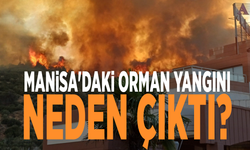 Manisa'daki orman yangını neden çıktı?