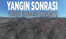 Yangın sonrası yürek burkan görüntü