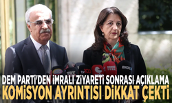 DEM Parti'den İmralı ziyareti sonrası açıklama: Komisyon ayrıntısı dikkat çekti