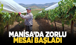 Örtücülerin kavurucu sıcaklarla zorlu mesaisi