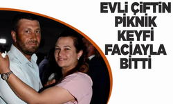 Manisalı çiftin piknik keyfi faciayla bitti