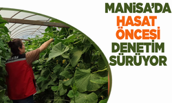 Manisa’da Hasat Öncesi Pestisit Denetimleri Aralıksız Sürüyor