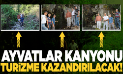 Başkan Dönmez’den Ayvatlar Kanyonu İçin Turizm Hamlesi