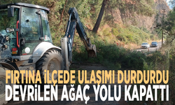 Fırtına ilçede ulaşımı durdurdu: Devrilen ağaç yolu kapattı