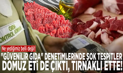 Ne yediğimiz belli değil! "Güvenilir gıda" denetimlerinde şok tespitler: Domuz eti de çıktı, tırnaklı ette!