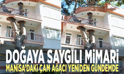 Doğaya saygılı mimari: Manisa’daki çam ağacı yeniden gündemde